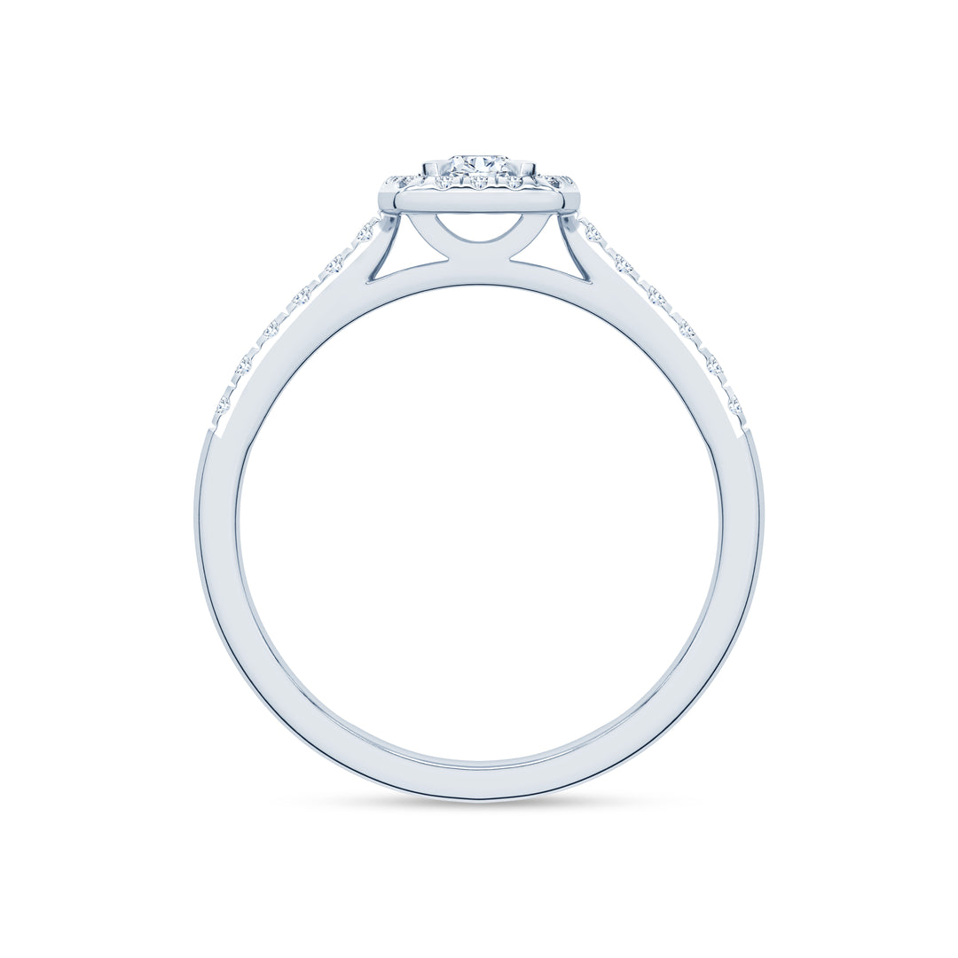 Ziedas_R178D-1W_2