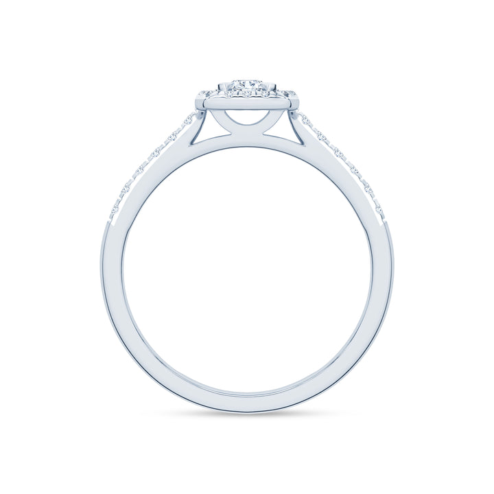 Ziedas_R178D-1W_2